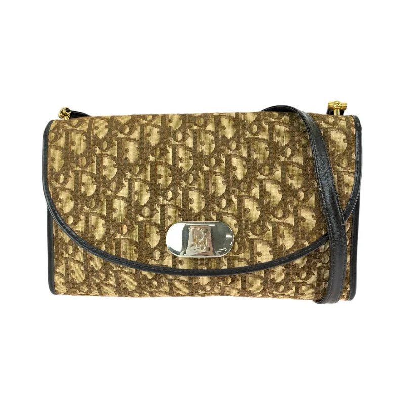 Christian Dior handbags with luxurious embroidery -Dior Vintage Trotter Canvas Shoulder Bag